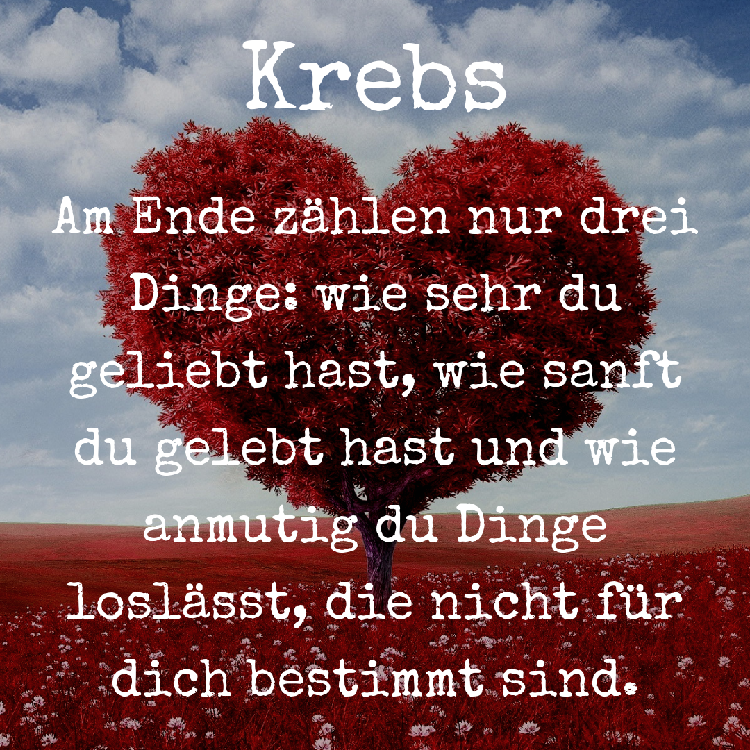Pin Von Marcel Schulze Auf Horoskop Spruche Zitate Zitate Spruche