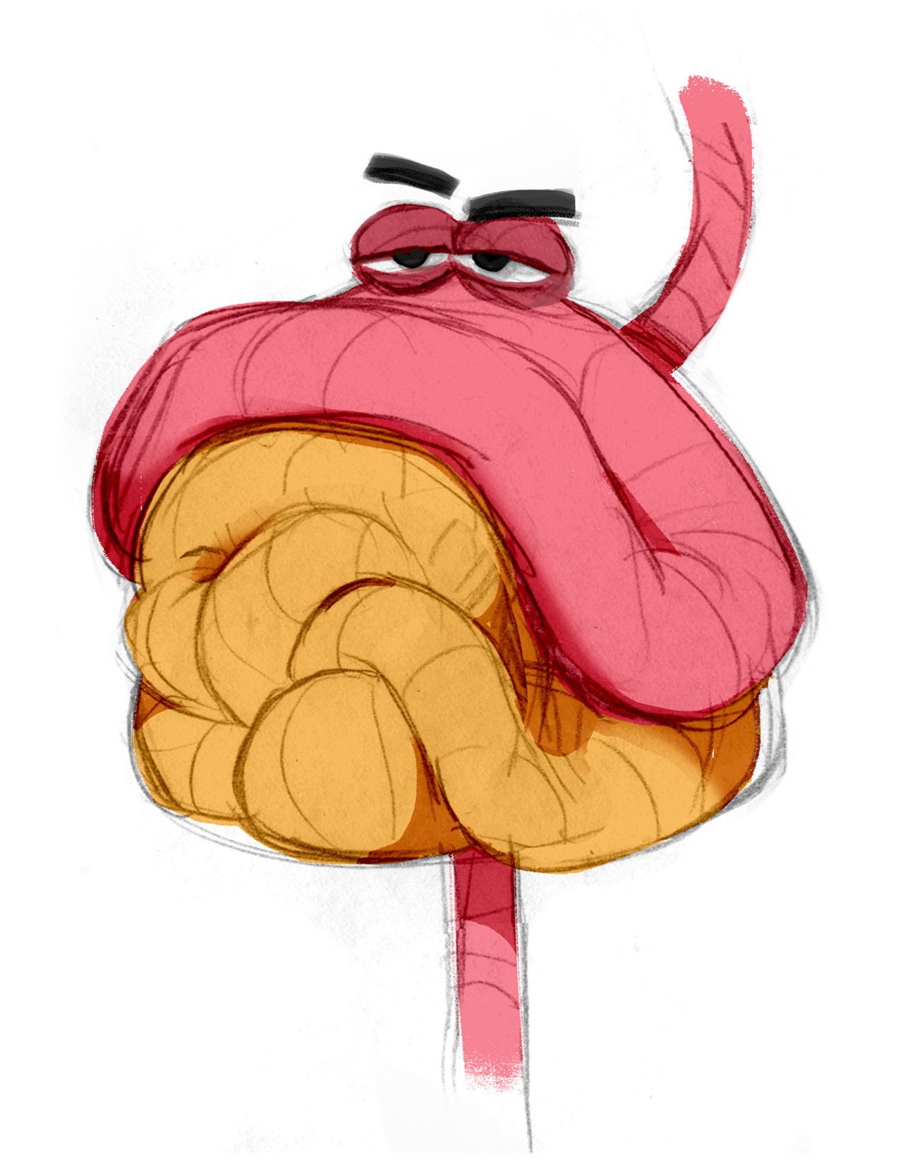 nicholasorsi design of the intestines for the characters