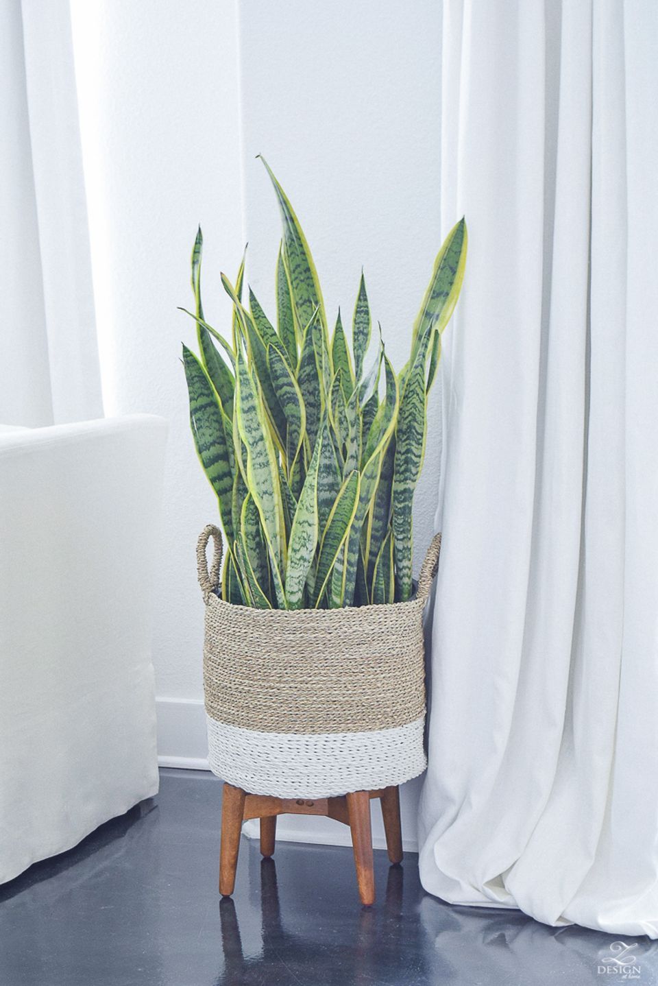Quelle Plante Avoir Dans La Chambre En 2020 Plante Verte Design Chambre Rustique Chambre Vintage