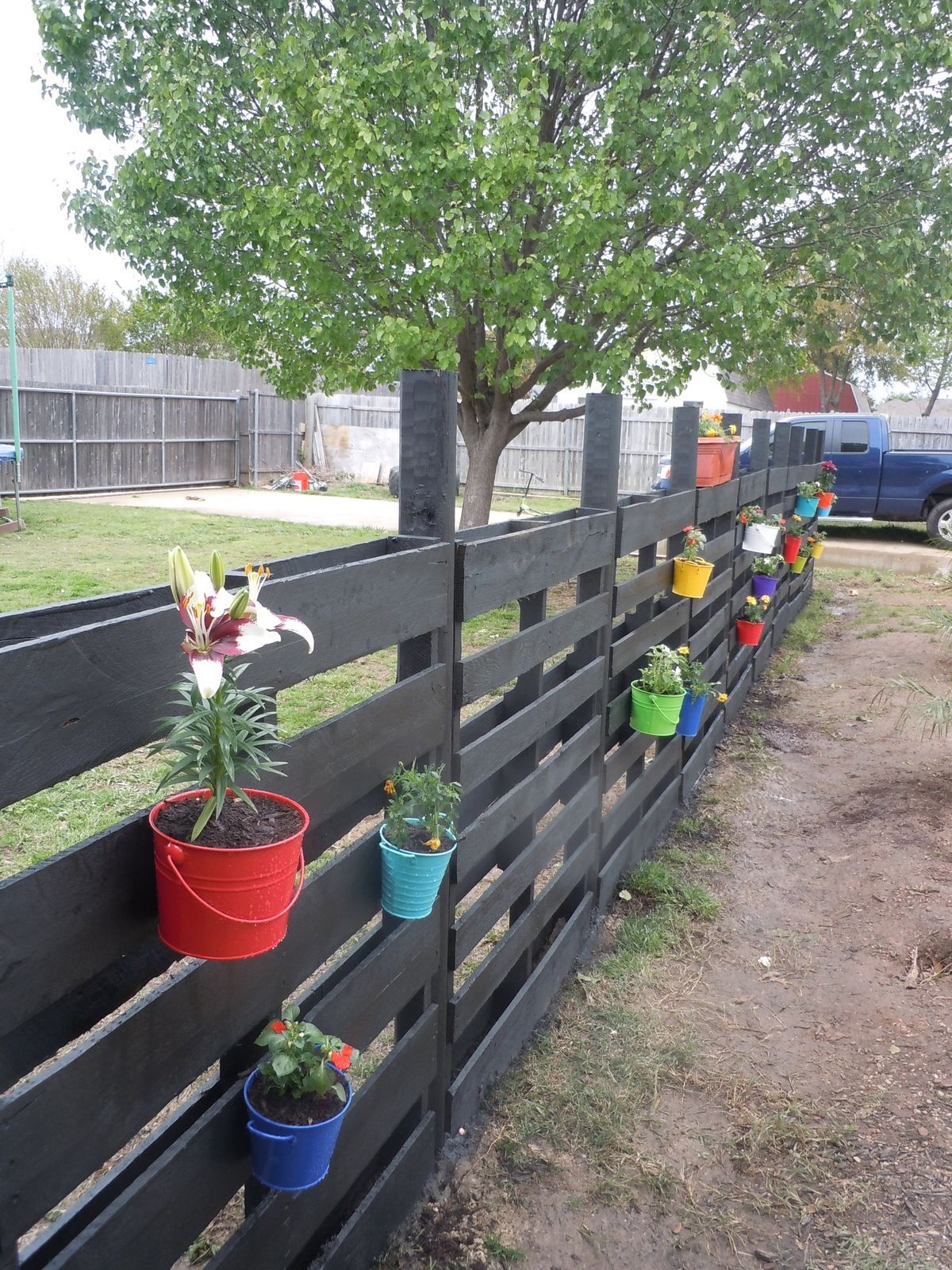 Backyard fences, Wood pallet fence, Pallet garden fence