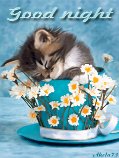 caro salope can you put gifs on facebook caro salope can you put gifs on facebook