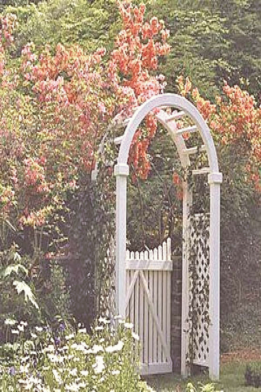 arbors gate vines arbors gate vines arbors there are sev arbors gate vines arbors arbors gate v arbors trellis arbor gate garden arbor with gate gated arbor trellis on arbors gate vines arbors gate vines arbors there are sev arbors gate vines arbors arbors gate v arbors trellis arbor gate garden arbor with gate pinterest