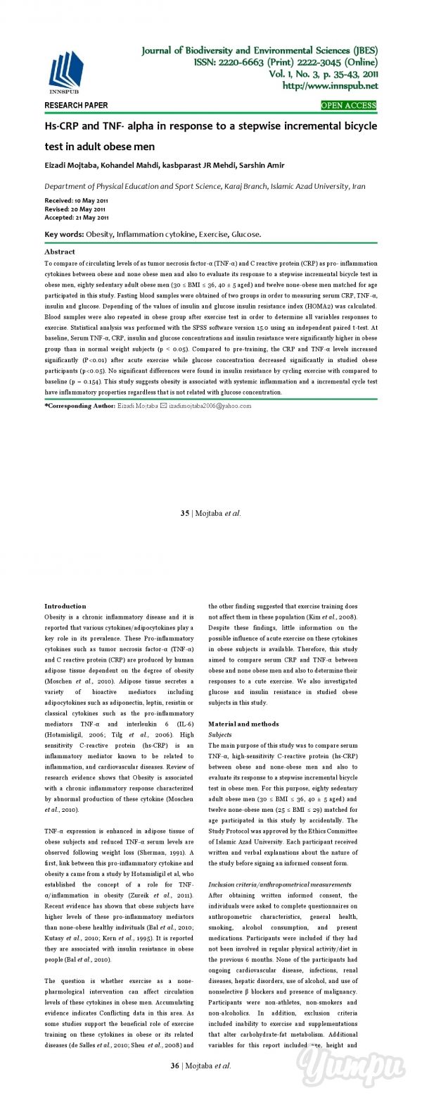 essay about saint petersburg russia map
