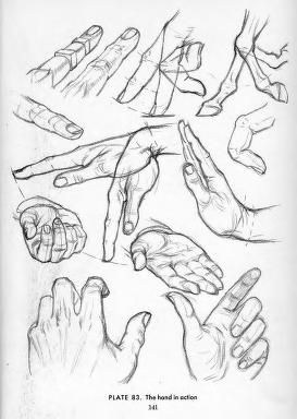 Drawing the Head & Hands : Loomis, Andrew : Free Download, Borrow, and Streaming : Internet