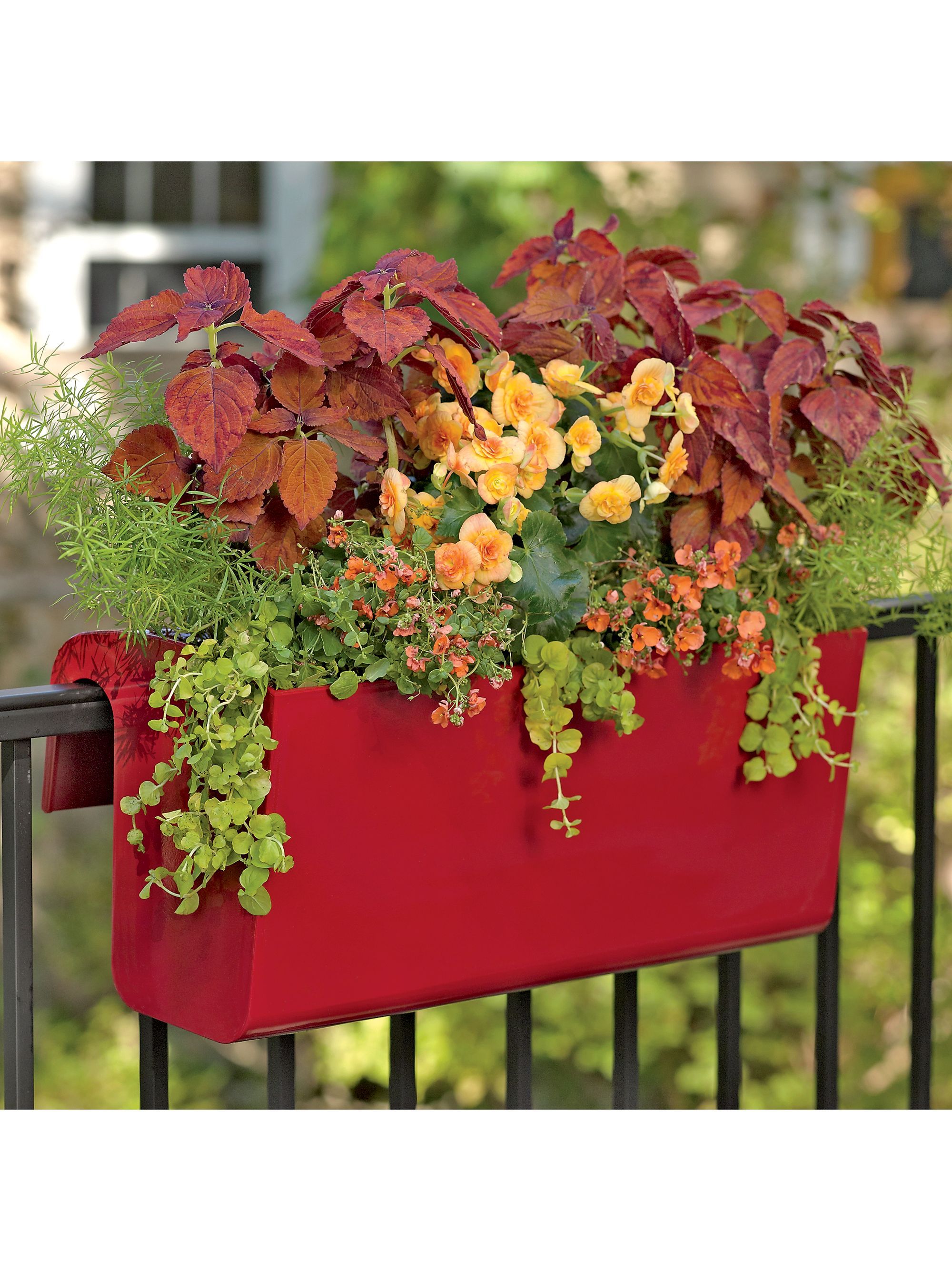 easy care balcony garden railing planters in bold colors and a high gloss finish self watering for r railing planters garden railings balcony railing planters bloem rail planter on easy care balcony garden railing planters in bold colors and a high gloss finish self watering for r railing planters garden railings balcony railing planters pinterest