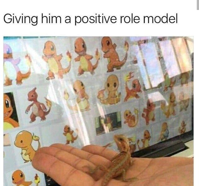Wholesome Animal Memes To Start The Week Off Right