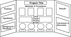 science fair tri fold example