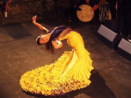 34 Idées De Flamenco Flamenco Danseuse De Flamenco Danseuse