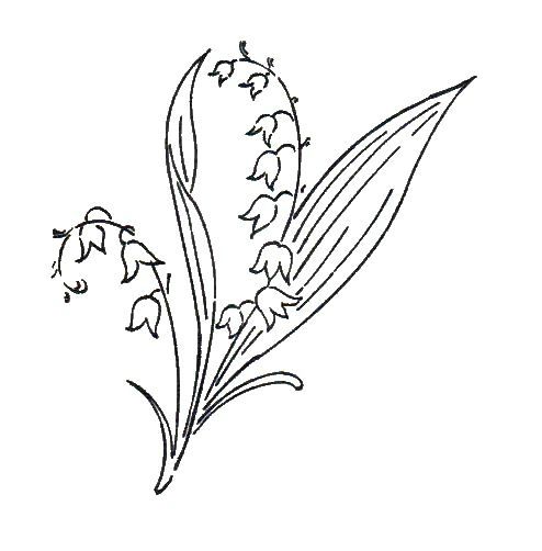Fleurs Broderie D Antan Muget Dessin Broderie Fleurs Fleurs Broderie D Antan Muget Dessin Broderie Fleurs