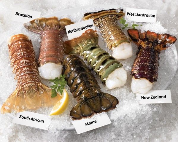 10+ Different Types of Lobster with Pictures | Gate Information | Lobster dishes, Lobster recipes, Grilled lobster