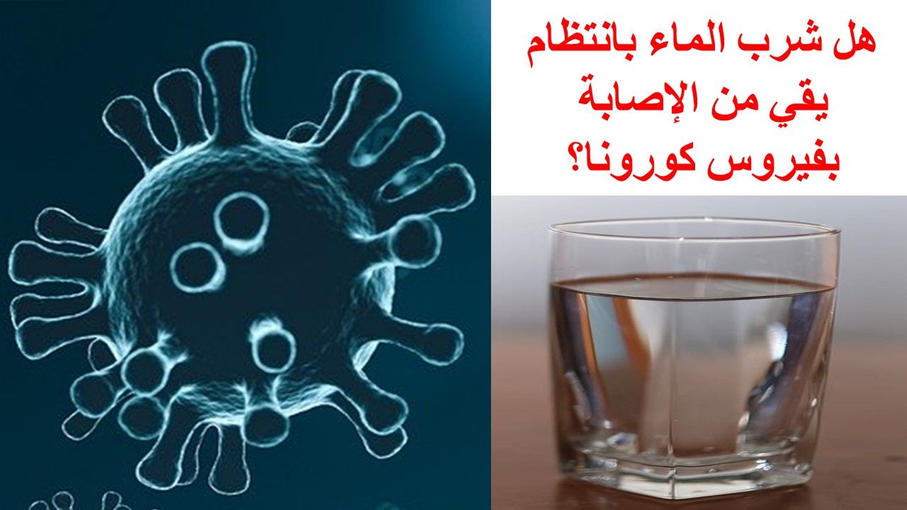 هل شرب الماء بانتظام يقي من الإصابة بفيروس كورونا Stemless Wine Glass Wine Glass Glassware