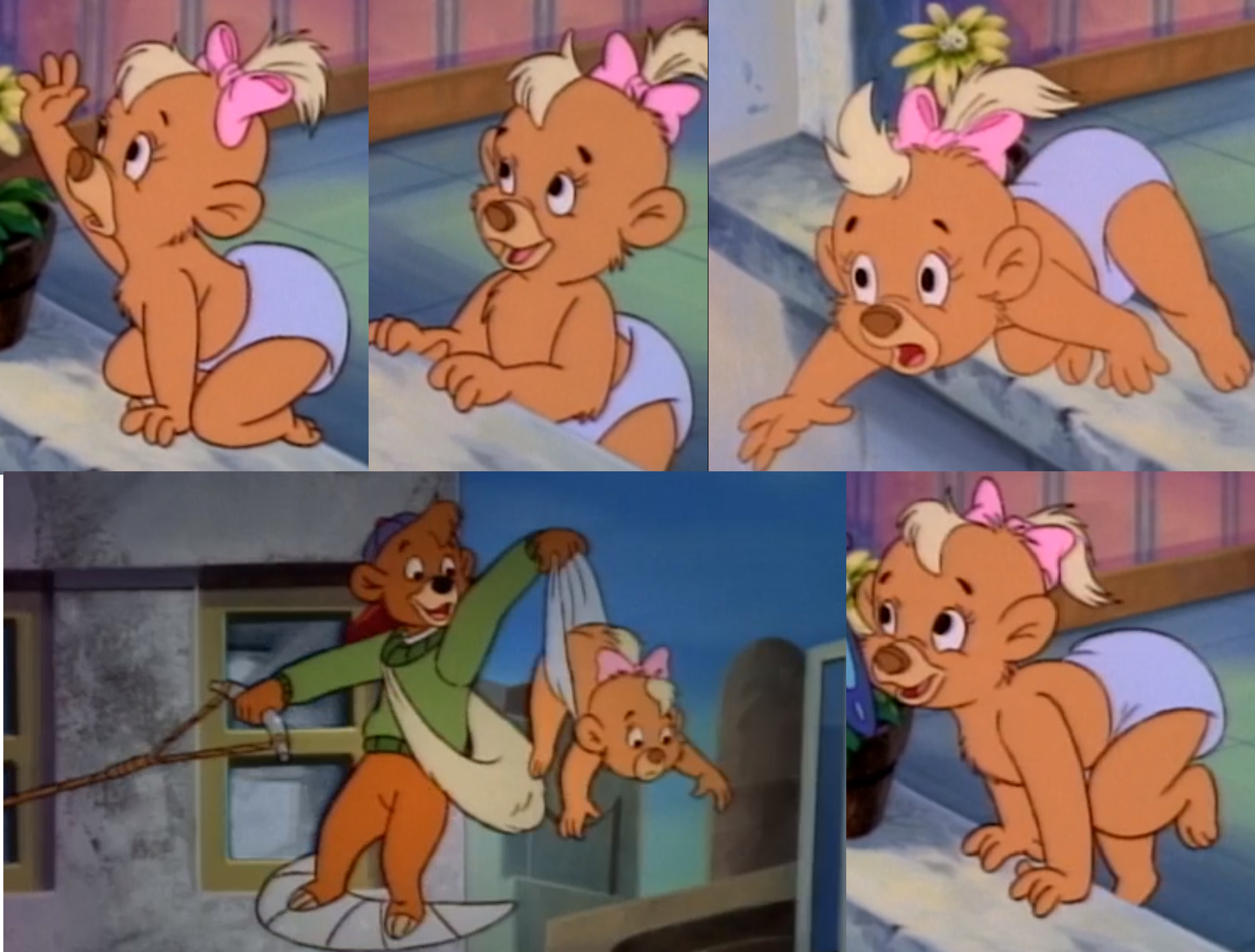 Toddler Bear Baby Colors Toddler Baby Pictures Toddler Bear Baby Colors Toddler Baby Pictures