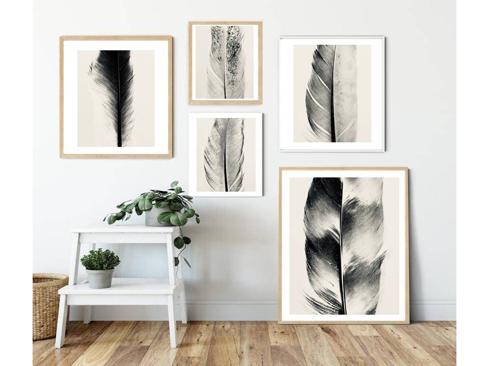 5 Feather Photo Gallery Wall Set Abstract Macro Printable Set Photography Fine Art Print Minimalist Wall Art Modern Farmhouse Boho Feathers