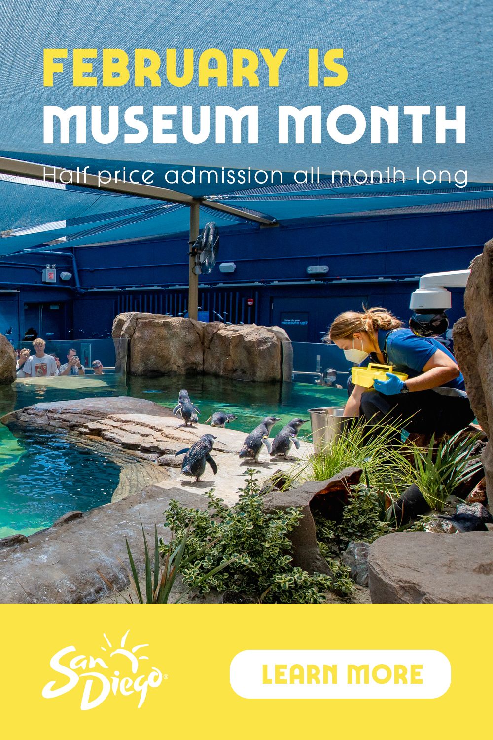 February remains the perfect month to discover (or rediscover) the
