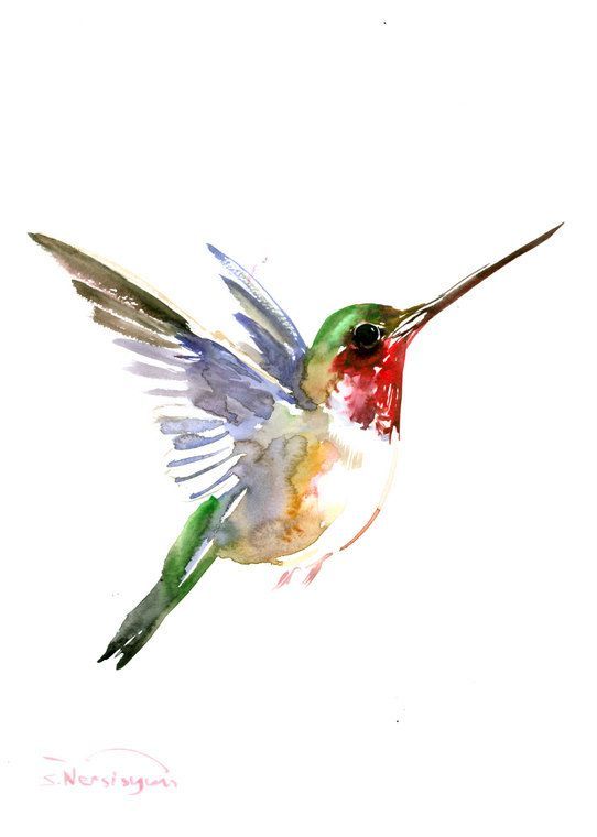 hummingbird exceed 14 hummingbird exceed 14
