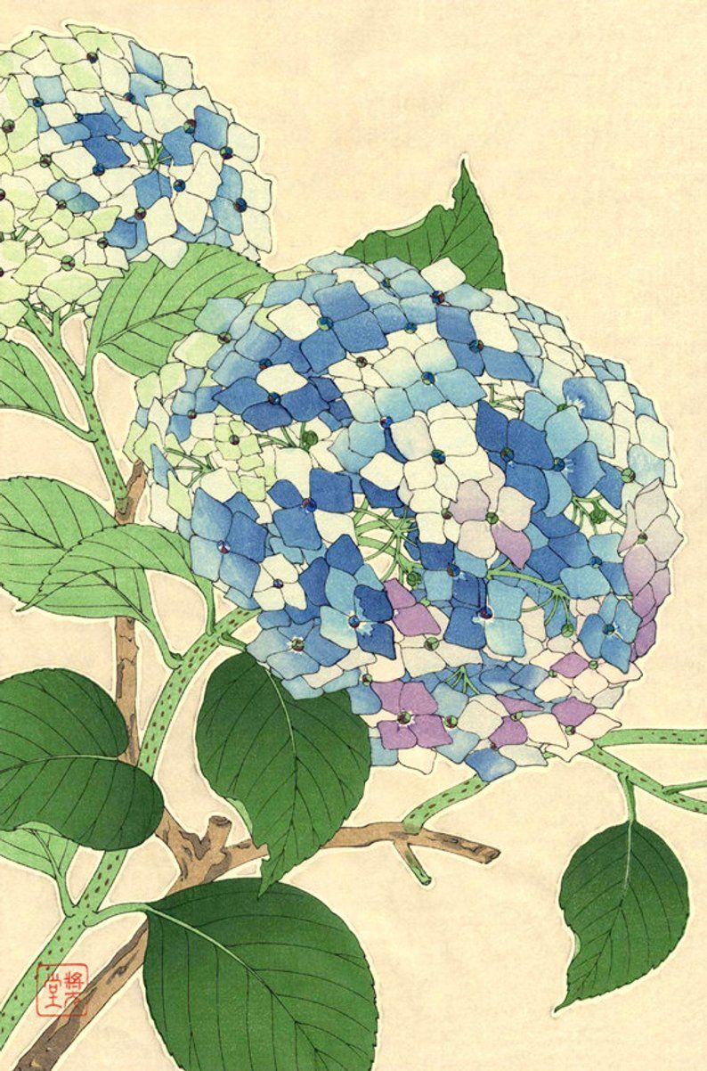 Japanese Art Flowers Floral Botanical Art Prints Posters Etsy 紫陽花 イラスト 花 水彩画 アジサイ イラスト Japanese Art Flowers Floral Botanical Art Prints Posters Etsy 紫陽花 イラスト 花 水彩画 アジサイ イラスト