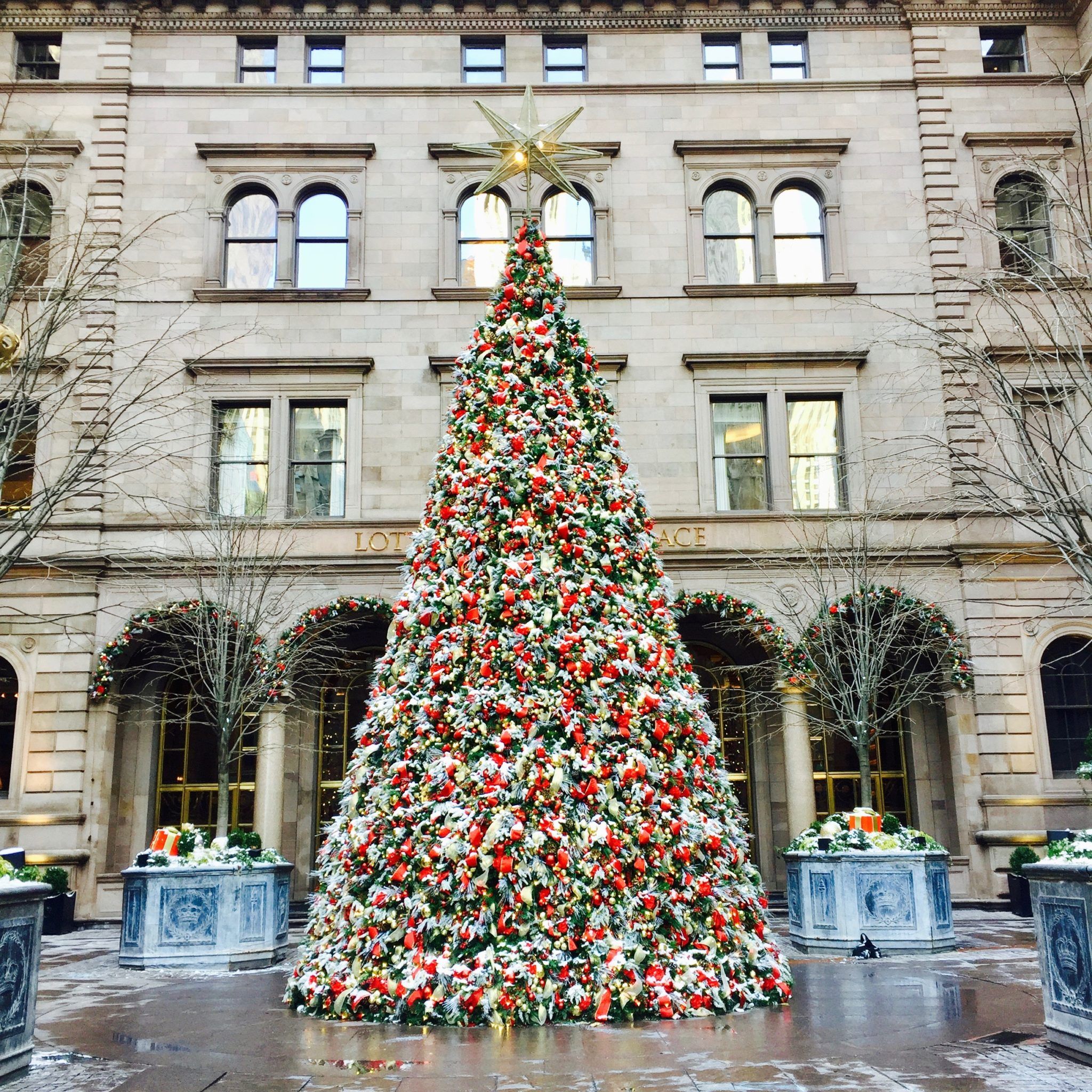 15 Magical Things To Do In New York At Christmas Wander Her Way In 2020 New York City Christmas Nyc Christmas New York Christmas