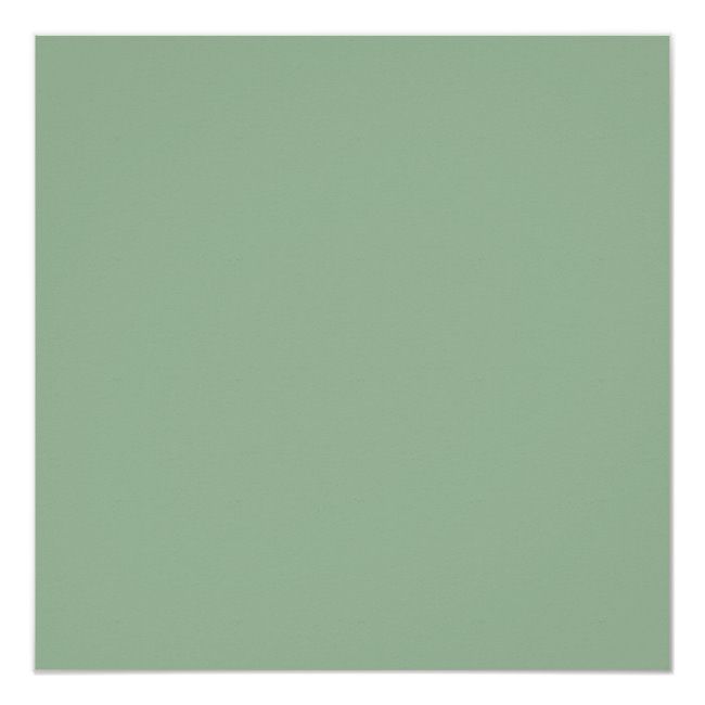 Solid Pastel Solid Sage Green Background / Beautiful green natural