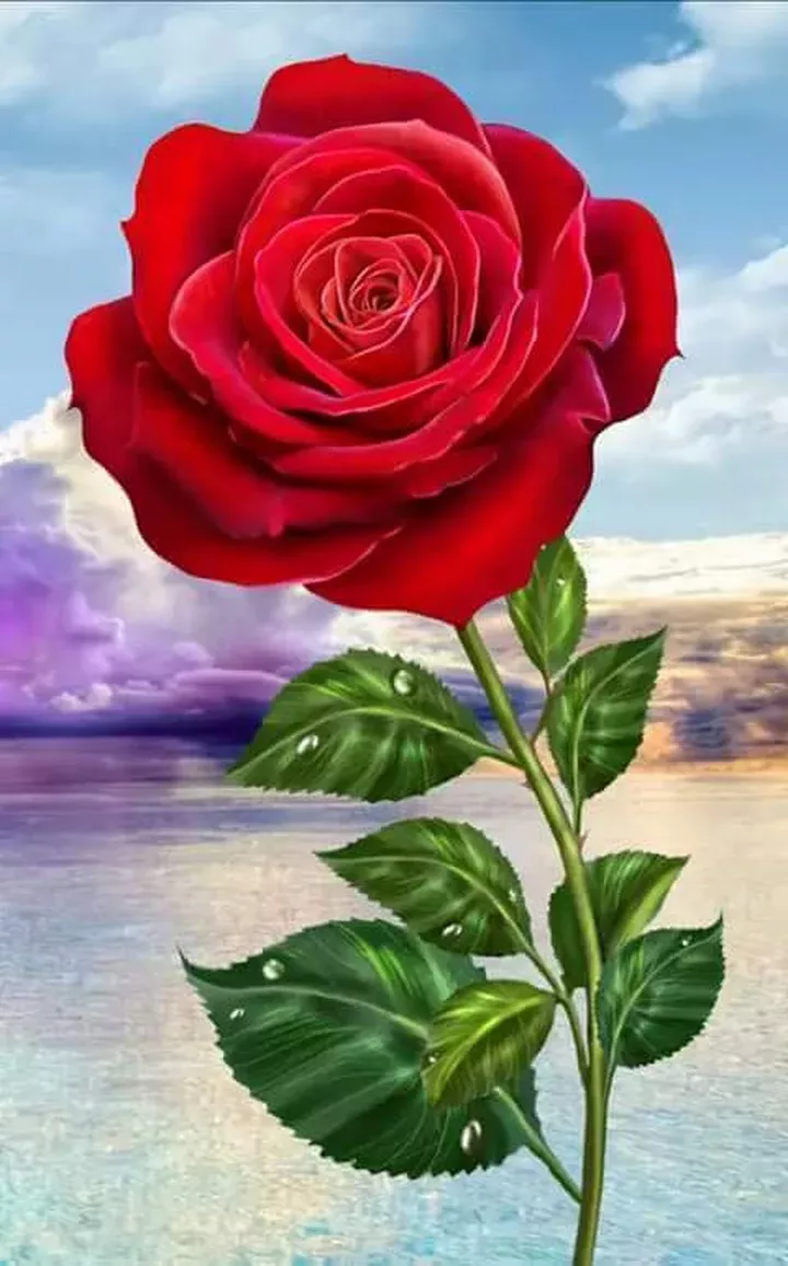 Impressive Beautiful Nature Wallpaper Beautiful Nature Wallpaper For Phone Impressive Beautiful Nature Wallpaper Beautiful Nature Wallpaper For Phone