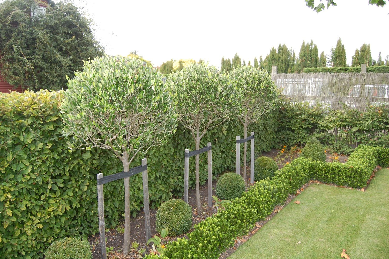 Dursley Garden Wairarapa New Zealand Spring Shrubs Dursley