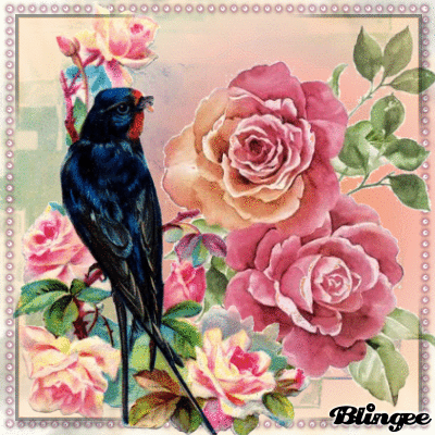 Schwalbe und Rosen