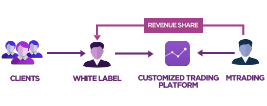 White label forex форекс крестики нолики клетка пунктов