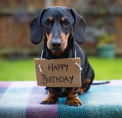 pin by linda caldwell on facebook pictures for posting pinterest precious and the best birthday present to get a