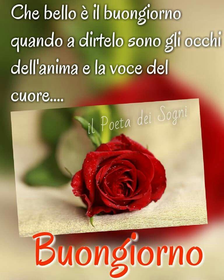 Buongiorno Il Poeta Dei Sogni Il Poeta Dei Sogni Immagini - nakeeney