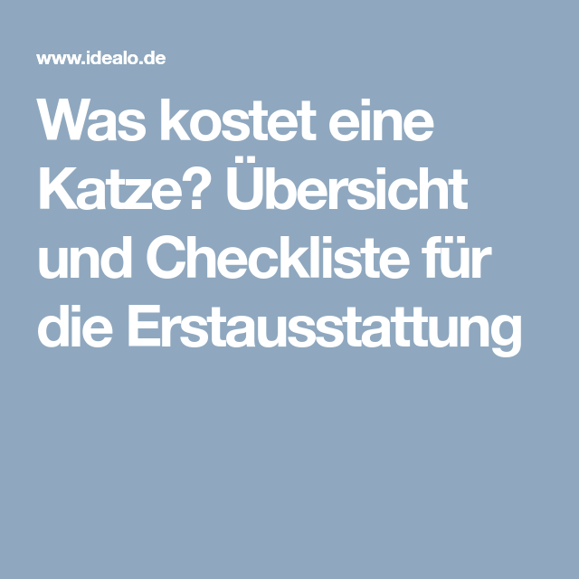 Was kostet eine Katze? Übersicht und Checkliste für die Erstausstattung