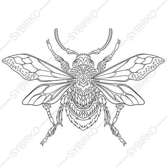 Download Coloring pages for adults. Beetle. Bug. Honey bee. Bumble ...