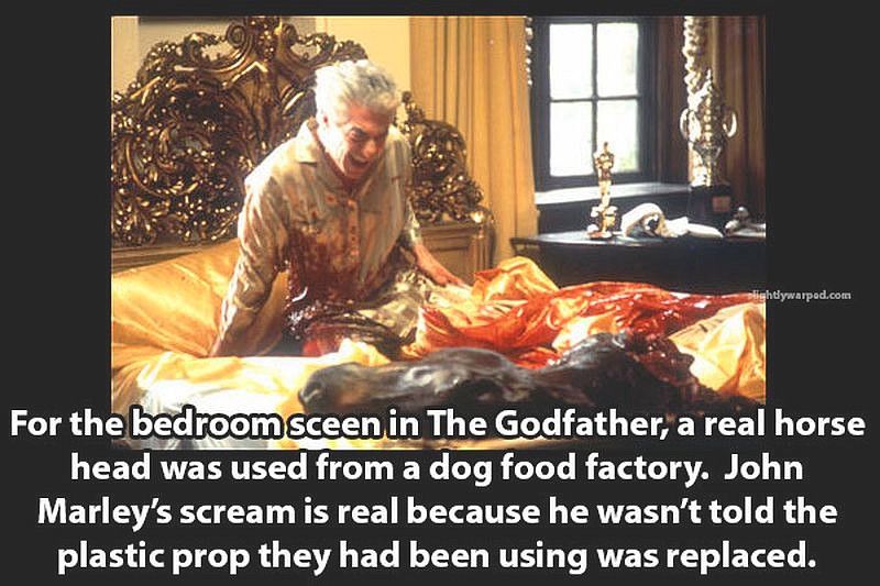 1972 Godfather | Movie facts, The godfather, Godfather movie
