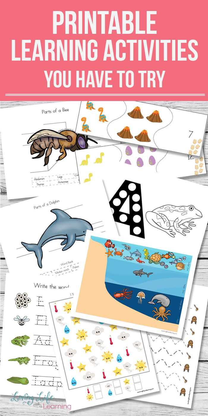 The learning lab – Artofit