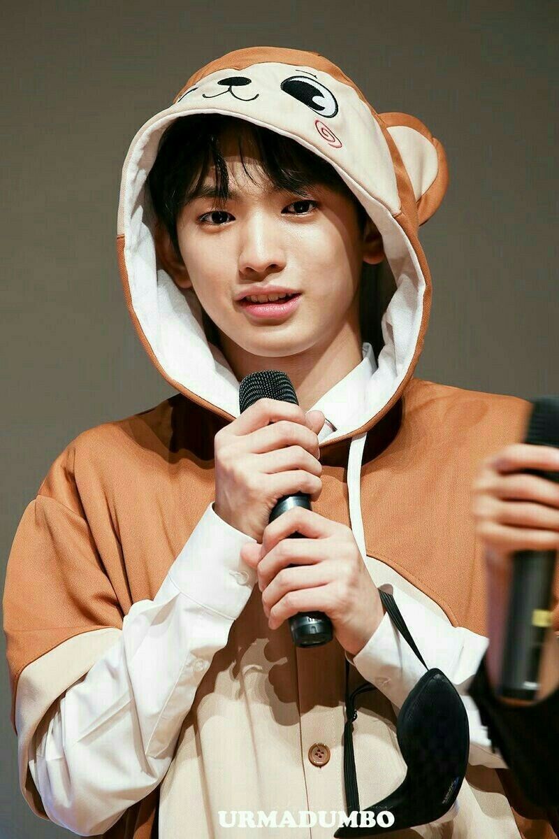 pin oleh pluffy nim di lee euiwoong pin oleh pluffy nim di lee euiwoong