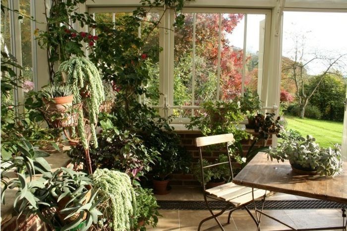 Plantes vertes dans le jardin du0027hiver à la maison- idée géniale - petit jardin d interieur Plantes vertes dans le jardin du0027hiver à la maison- idée géniale - petit jardin d interieur