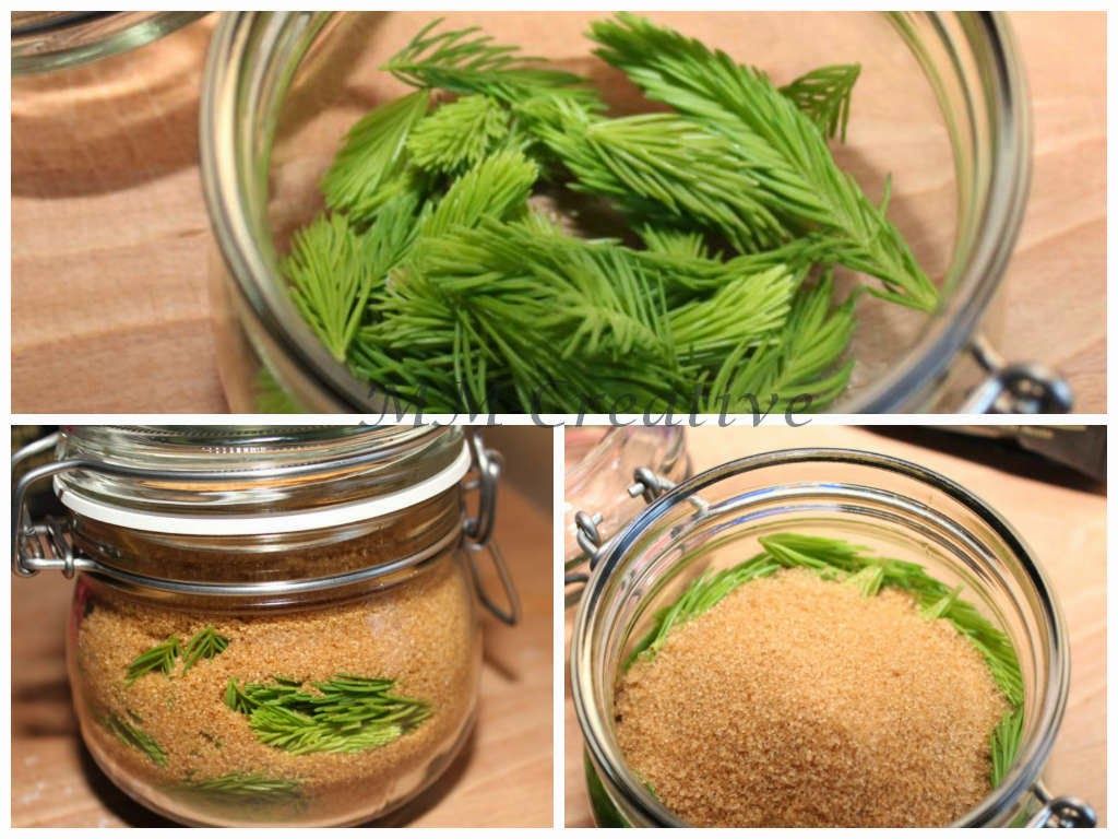 der nachste husten tannensirup hustensirup selbst gemacht rezept hustensirup gesundheit und wohlbefinden ernahrung