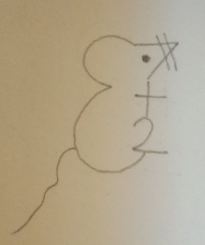 Drawing Mouse From 7 2 Simple And Easy Drawing Ideas For Kids Mouse Drawing Mouse From 7 2 Simple And Easy Drawing Ideas For Kids Mouse