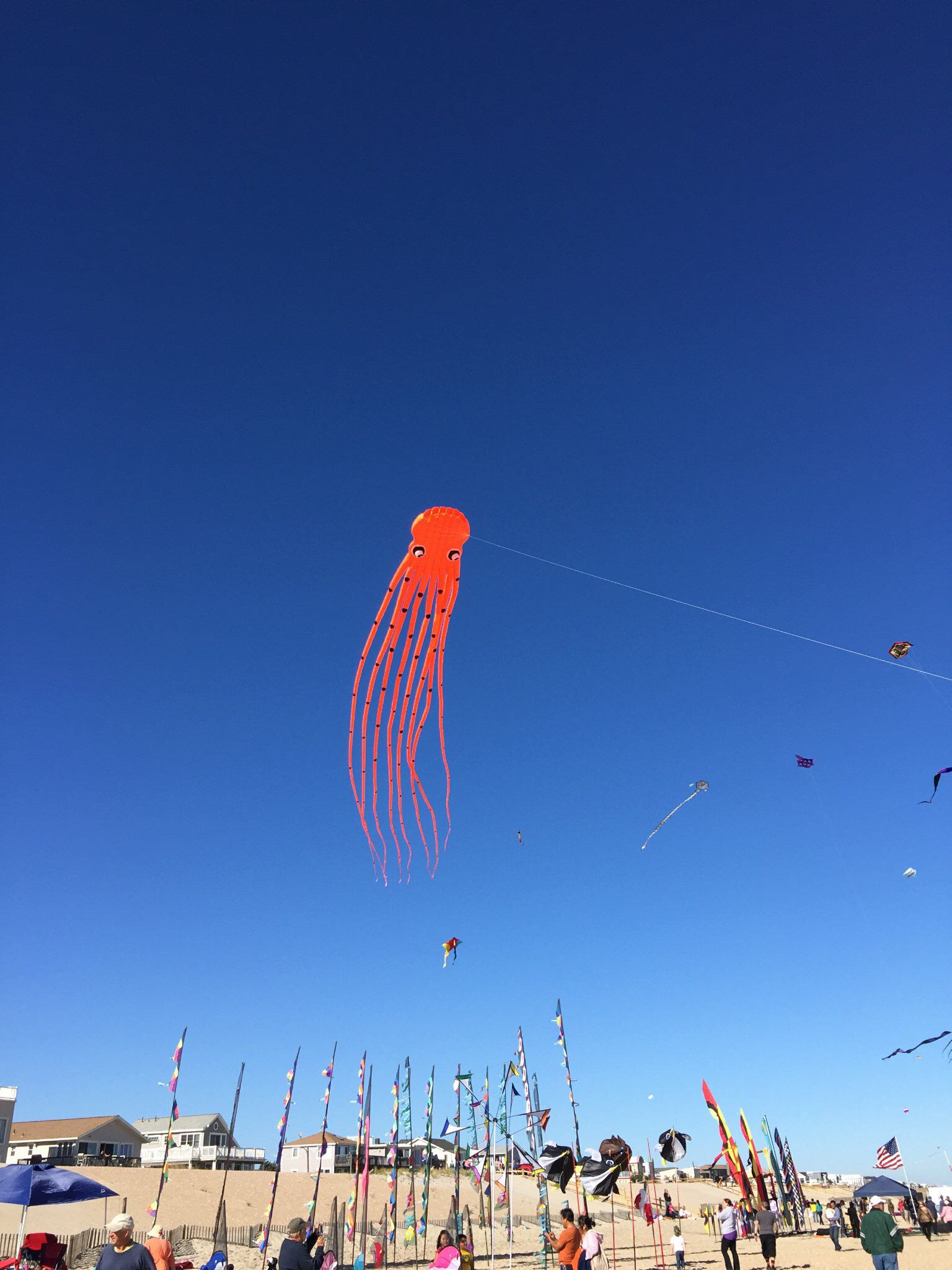 1st Annual Kite Flying Festival LBI NJ 10 2015 Kite Flying Fun 1st-annual-kite-flying-festival-lbi-nj-10-2015-kite-flying-fun