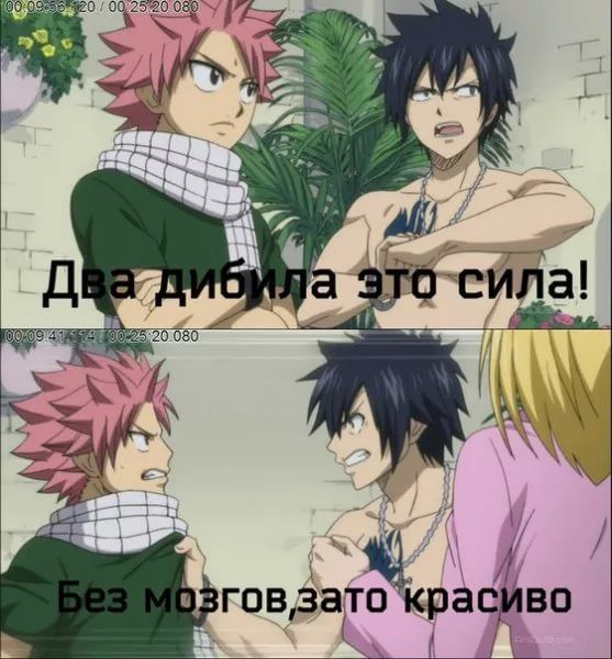 Хвост феи картинки приколы