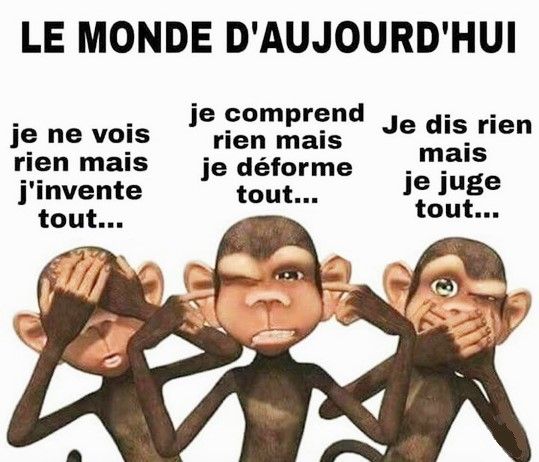 Epingle Sur Citations Quote Motivation Inspiration Epingle Sur Citations Quote Motivation Inspiration