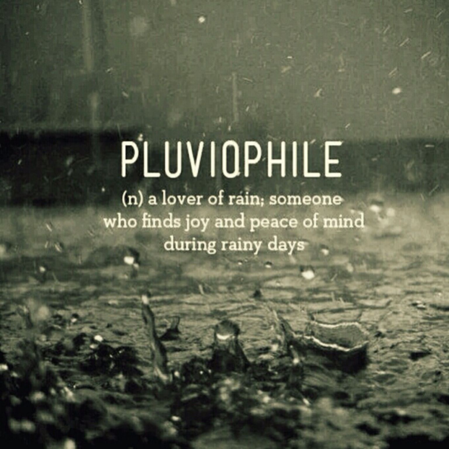 Quote Definition Pluviophile A Lover Of Rain Someone Who Finds