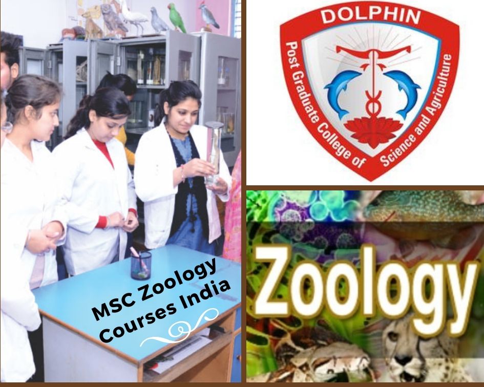 M sc Zoology Courses India Zoology, Msc, College M sc Zoology Courses India Zoology, Msc, College