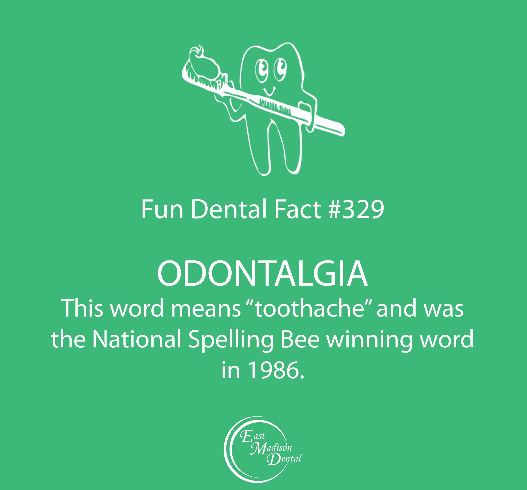 Our fun dental facts are guaranteed to make you smarter! #themoreyouknow #dentalcare #dental #dentalhumor #dentaltips #oralhealth #oralcare #dentalfacts