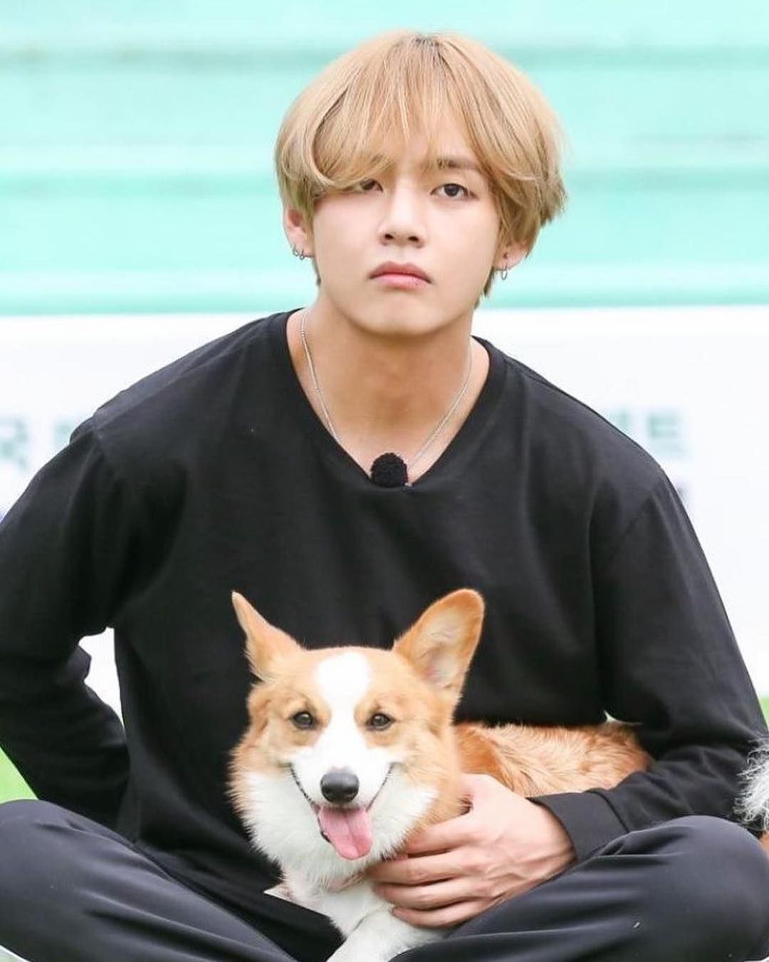 Do You Have Any Pet Bts Taehyung Taehyung Bts Jungkook