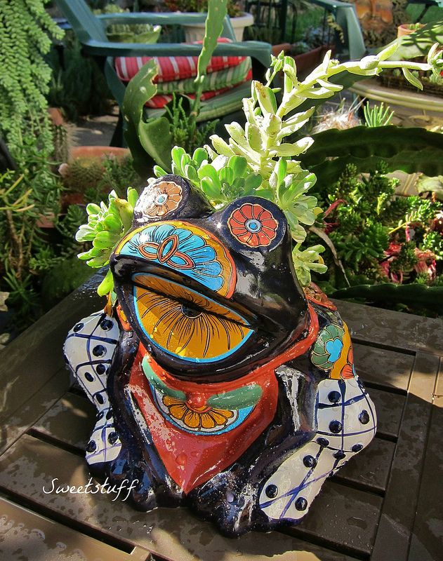 Talavera Frog Talavera Frog Flower Pots