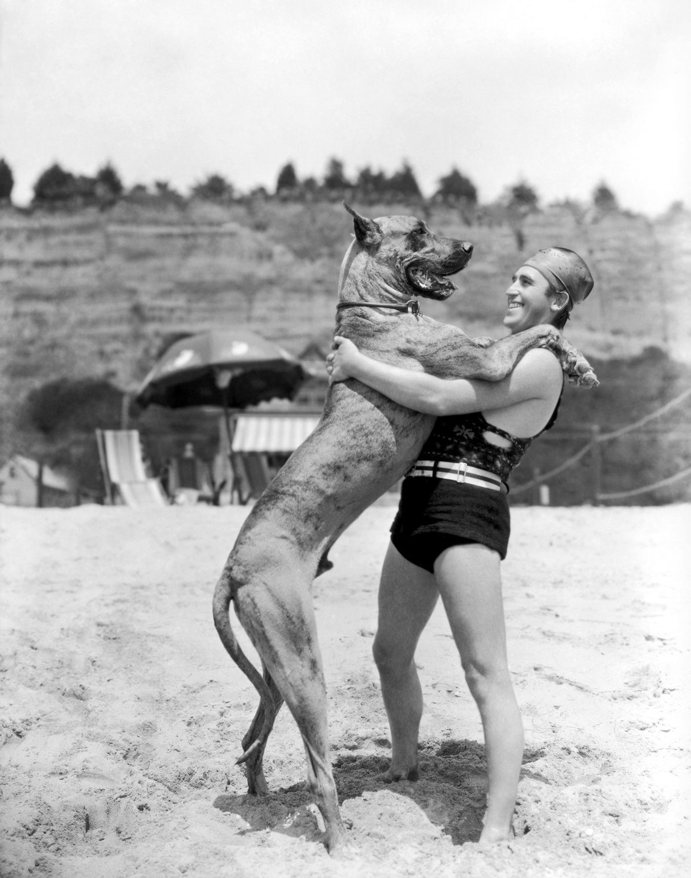 The Fantastically Funny Harold Lloyd Giant Dogs Harold Lloyd