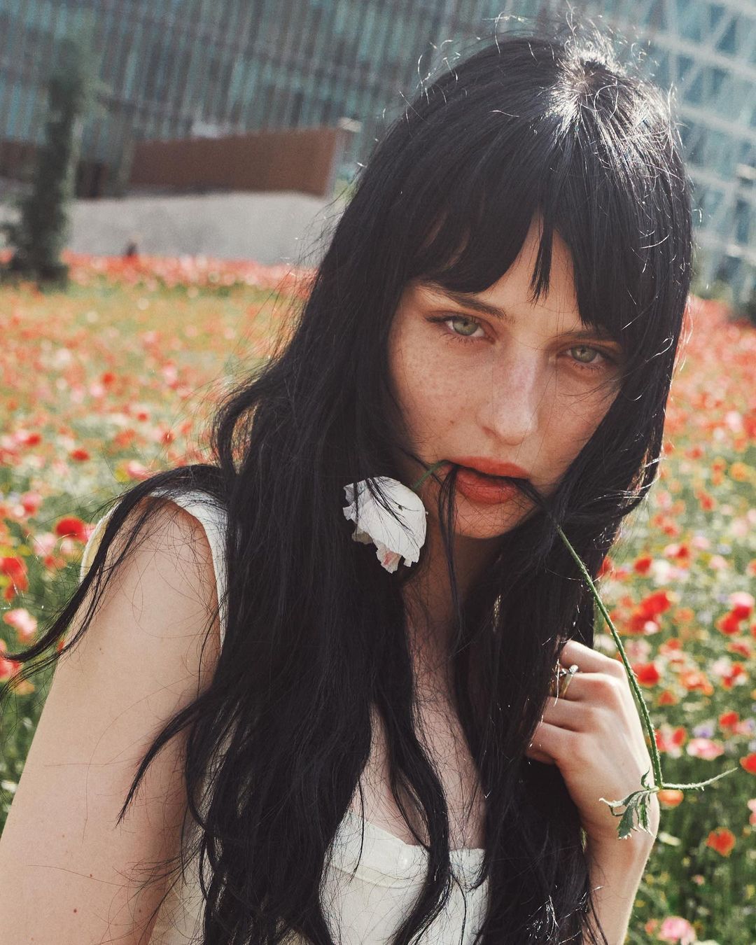 Alessio Albi on Instagram: “@opheliamillaiss @dustinphil” Vampire Bites