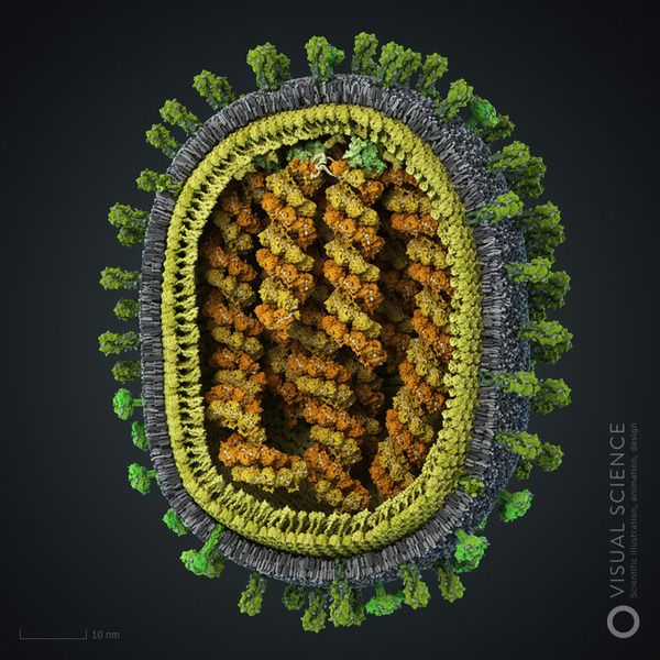 メカニカルなウィルス画像 微生物学 顕微鏡 自然 メカニカルなウィルス画像 微生物学 顕微鏡 自然