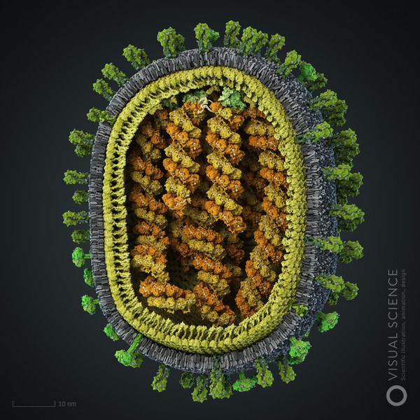 メカニカルなウィルス画像 Microscopic Photography Scientific Illustration Microbiology