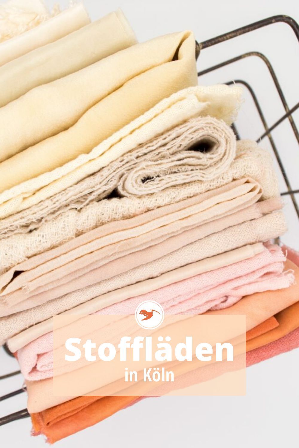 Er sucht sie coolibri