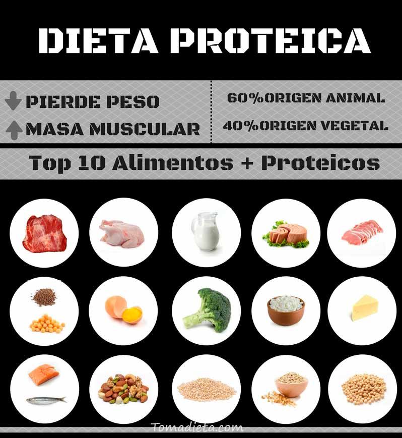 Alimentos permitidos en dieta proteica pdf